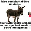anne3384657517123