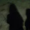 sofi_yq4