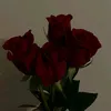 mm7355800999356