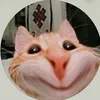 tllpy6