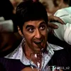 mido_0231