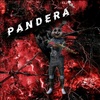 pandera.pm