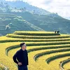 vinh.dinh393