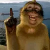 minhtonl7
