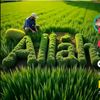 allahtekdir1823