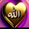 user1606773024257