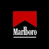 marlboro.morgado