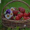 _strawberry935_