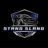 stangslang1