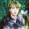 bestvisual_jin