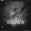 ch_f_bajwa