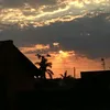 leh_tlz