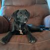 chloe.homan4