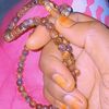 bihangom20