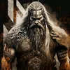 odin8660
