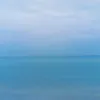 phuoc_._