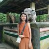 thazin.phway113