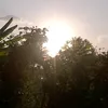 lombok_aesthetic_