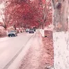 mohameddarkvibes2