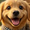 kikipuppy36