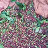 tranhuong7062