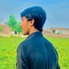 shahinshahsafi