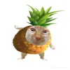 Choki cũng kì🤗