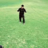 doni_940349767