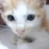 rustljwpks3