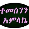 aynalem3998
