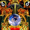 user6147337301713asif