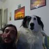 giovanninomeloni3