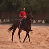yahya22900