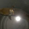 zuhairyhairy00