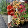 avish_001