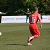m_fern09