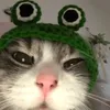 funontiktok1