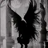 black._.a.ngel