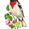 youcefyoucef9264