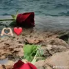 جرح إلا يطيب