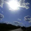 janascarcela88
