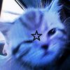 lucas_x334