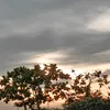 marlyncayabo