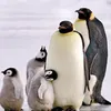 queena_1314666