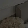 idlttams