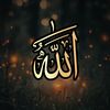 user4081453350368
