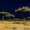 abdiqadir275