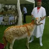 brahimsaber74