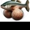 massipakimao