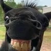mynamesisvacaloo